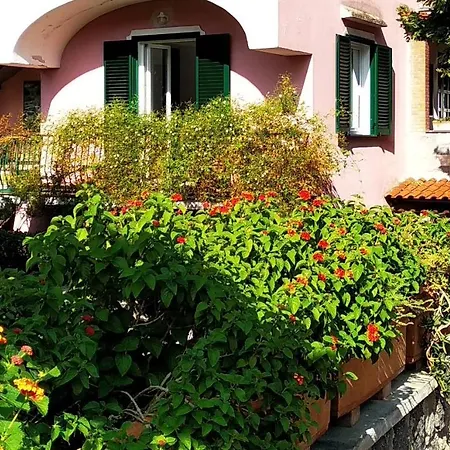 Apartment Casa Daniela